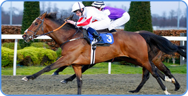 Horse Racing betting on Betdaq picture