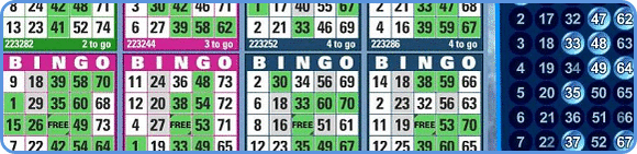 bingo online game in action