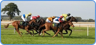 horse racing in action