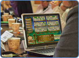 Playing Bingo game online picture